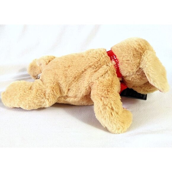 Two Blind Brothers Guide Dog  Braille Golden Lab Plush NEW 16" - Picture 2 of 6